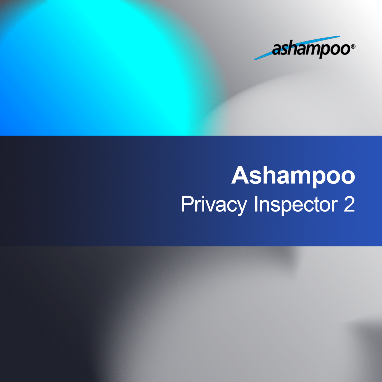 Ashampoo Yksityisyystarkastaja 2