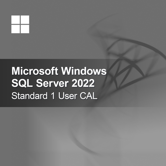 Microsoft SQL Server 2022 Standard 1 utilizator CAL